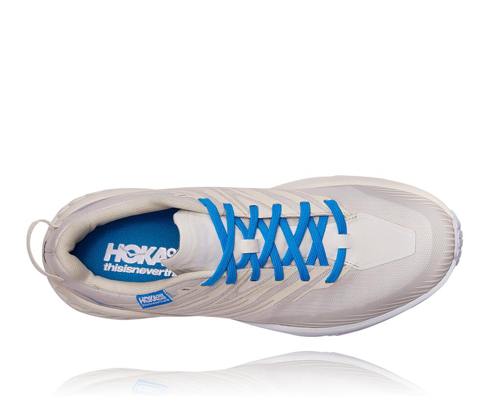 all gender hoka x tint speedgoat 4